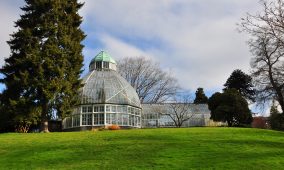 Things to do in Tacoma Wright Park Seymour Conservatory
