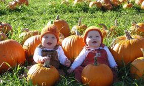 Tacoma Pumpkin Patch Twins